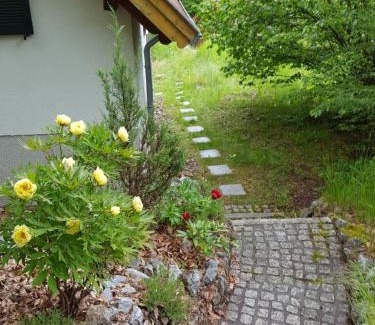 Altenbrak Apartment | Gartenwohnung Bodetalblick