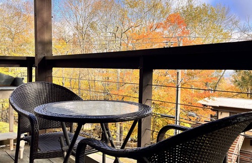 Beech Mountain Villa | Gas Fireplace, Comfortably sleeps 6, and Walk to Beech Mountain Resort!