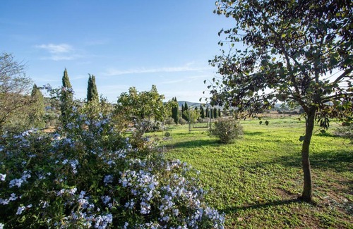 Orbetello House | Gelsomina- Agriturismo La Valentina