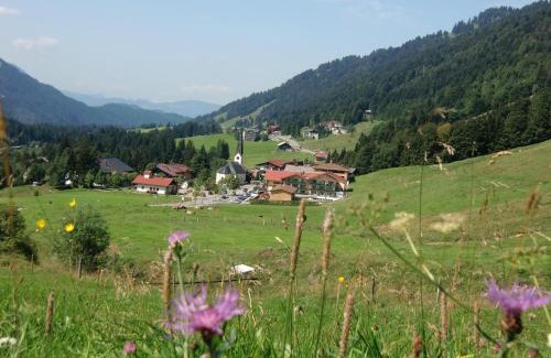 Balderschwang Apartment | Gemütliche Ferienwohnung Bergwiese, 2-Raum, separates Schlafzimmer, schönen Balkon oder Terrasse, Komfort Ausstattung, ruhige Südlage, kostenfrei WLAN und schöne helle Sauna, Brötchenservice, Parkplatz, Hunde auf Anfrage, E-Tankstelle, Sonnenlage
