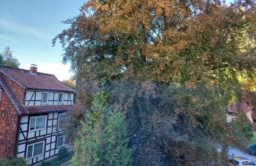 Bad Grund Apartment | Gemütliche Ferienwohnung im Harz