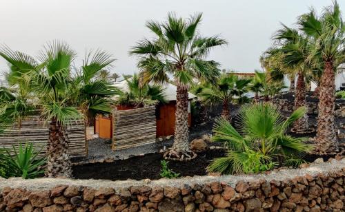 La Asomada Apartment | Gemütliche Holzjurte La Asomada Lanzarote