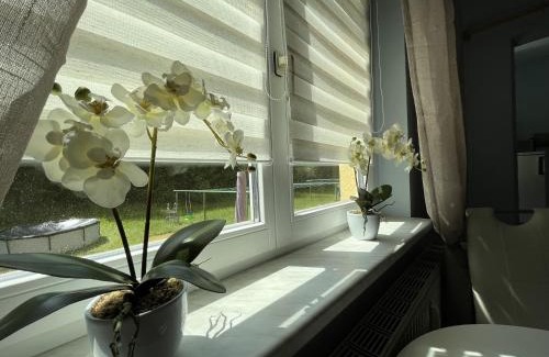 Schellerhau Apartment | gemütliche kleine Ferienwohnung in Altenberg