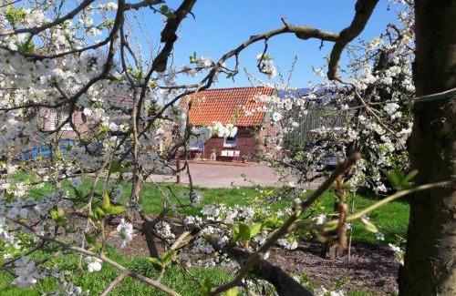 Jork House | Gemütliches Häuschen im Alten Land