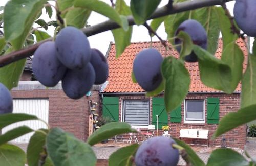 Jork House | Gemütliches Häuschen im Alten Land