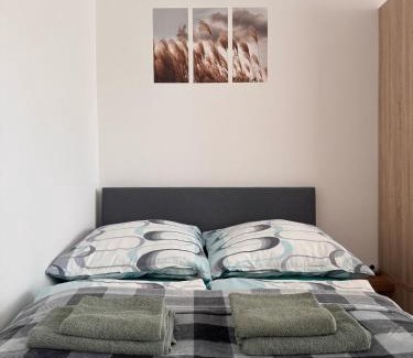 Homburg Apartment | Gemütliches, renoviertes Appartement in Uniklinik- & City- Nähe mit Klimaanlage