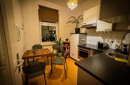 Andreasvorstadt Apartment | Geräumig, Ruhig, Küche & kostenlos parken