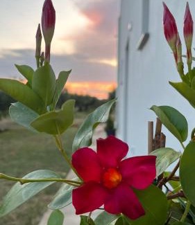 Castelvetrano Bed & Breakfast | Giardino del Belice