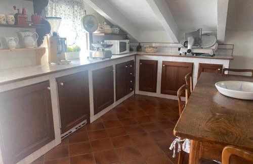 Ca' Savio Apartment | Giardino Fiorito