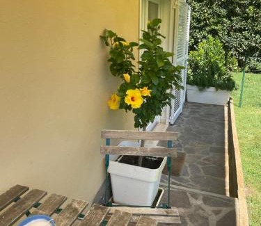 Tirrenia Apartment | Ginepro