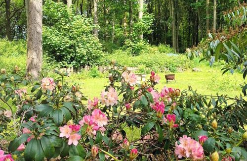 East Dereham Other | Gingerbread Cottage Yurts
