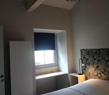 Bagneres-de-Bigorre Apartment | Ginkobiloba : Appartement cosy en cœur de ville