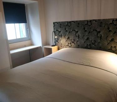 Bagneres-de-Bigorre Apartment | Ginkobiloba : Appartement cosy en cœur de ville