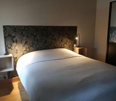 Bagneres-de-Bigorre Apartment | Ginkobiloba : Appartement cosy en cœur de ville