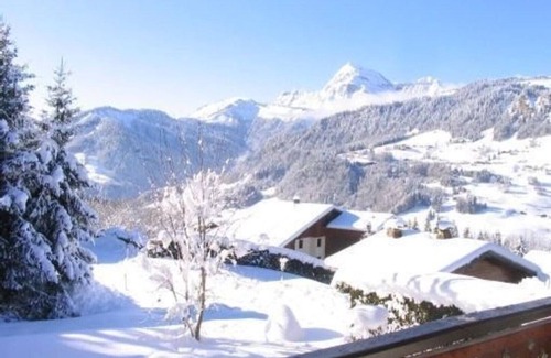 Notre-Dame-de-Bellecombe Ski Chalet | Gite de France classified * in chalet Savoyard, with view, AT THE FOOT OF THE TRACKS