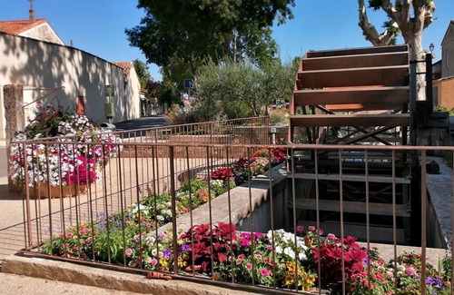 Maillane House | Gite LE PLATANE in Maillane near the Alpilles