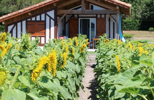 Linxe House | Gite Linxe, 2 bedrooms, 4 persons