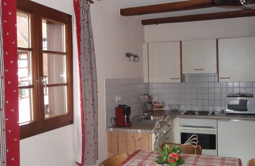 Eguisheim Apartment | Gite Pfersigberg 4/5 people in the heart of the village of Eguisheim