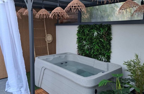 Pujaudran Cottage | Gîte Saint-Jacques-de-Compostelle, 2 rooms, 2 bathrooms, very cool in summer, very large terrace - shared outdoor pool - private Jacuzzi optional