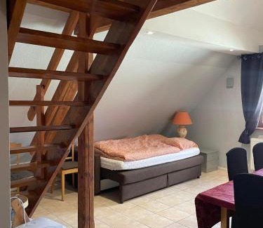 Selestat Apartment | GITE SPACIEUX AU COEUR DE L'ALSACE 3*