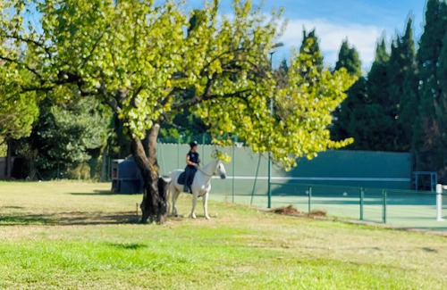 Vallabregues Apartment | Gîte with swimming pool and tennis court