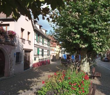 Bergheim Apartment | Gites Aux Fines Bulles d'Alsace SPA privatif en supplément