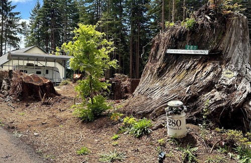 Crescent City House | Glamping Among Redwood Trees Cozy Camper Pet Friendly