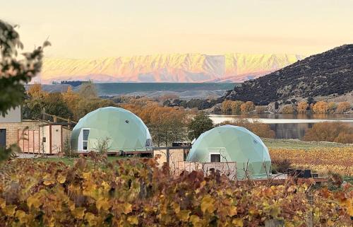 Mount Pisa Other | Glamping Dome - Pinot
