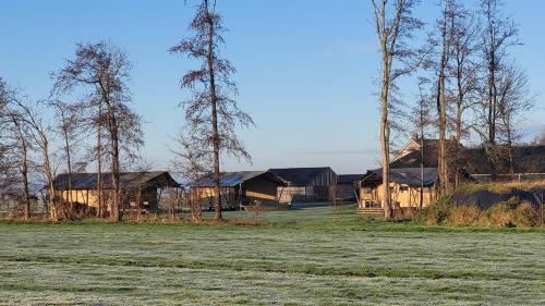 Hasselt Other | Glamping Franse Peer