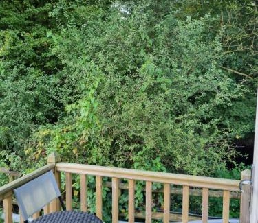 Llanfair Caereinion Ski Chalet | Glamping Hut - Sleeps 2 hot tub & parking