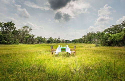 Pahala Maragahawewa RV Rental | Glamping in Style. 5 min Drive to Wilpattu Park