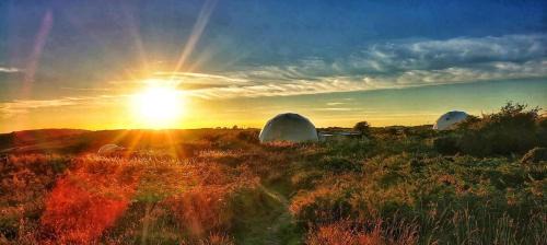 Llanybri House | Glamping Pod - Sleeps 4 - Pets - Parking
