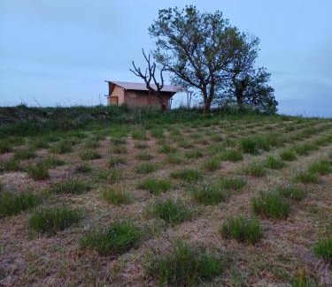 Magliano in Toscana Other | Glamping Podere Angiotto LODGE MONTIANO