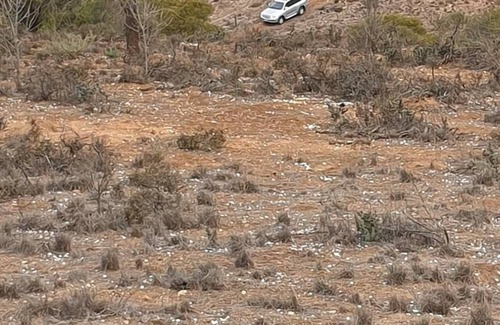 Mannum Bed & Breakfast | Glamping Tents close to the Murray River 4WD /2WD tents.