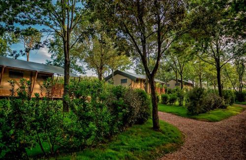 Piombino Other | Glamping Tenuta Poggio Rosso