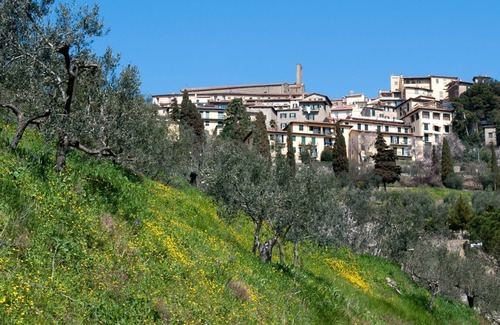 San Pietro a Cegliolo Apartment | Glicine - One Bedroom Apartment, Sleeps 2