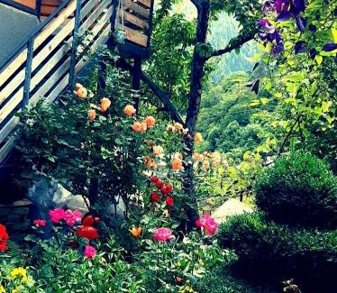 Borjomi Apartment | gogias tsikhe