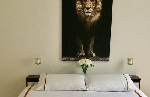 Gries - Quirein House | Gold Experience Suite