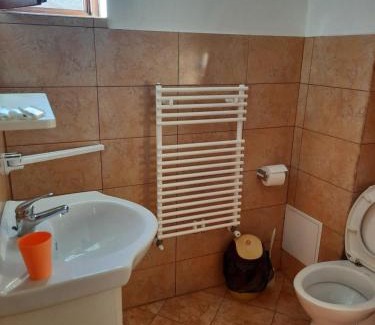 Tureni House | Gold Fayen House Cheile Turului