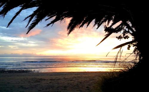 Parapara Resort | Golden Bay Holiday Park