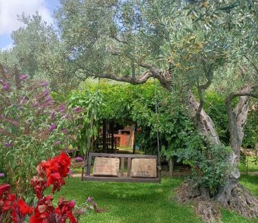 Falerna Other | Golden Camp