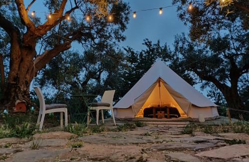 Falerna Other | Golden Camp