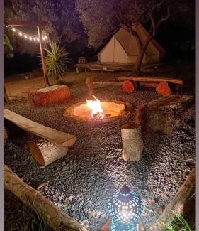 Falerna Other | Golden Camp
