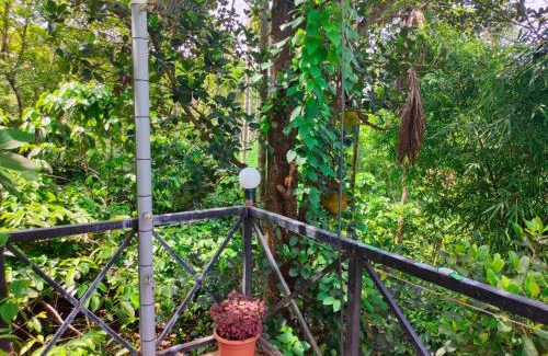 Thariyode House | Golden Cypress Resort with Pool -Wayanad