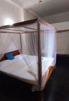 Tangalle Cabin | Golden Lodge Tangalle
