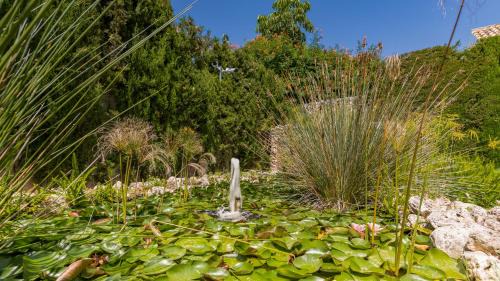 Marbella Villa | Golden Mile Villa Close to Beach