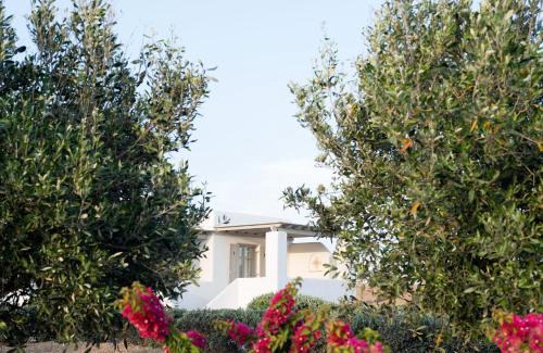 Chrissi Akti Apartment | Golden Sand Paros
