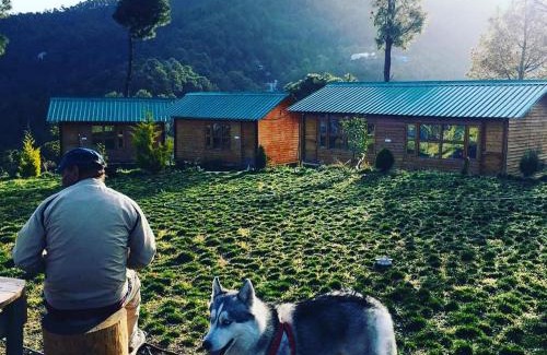 Chail Resort | Golden valley cottages, Chail