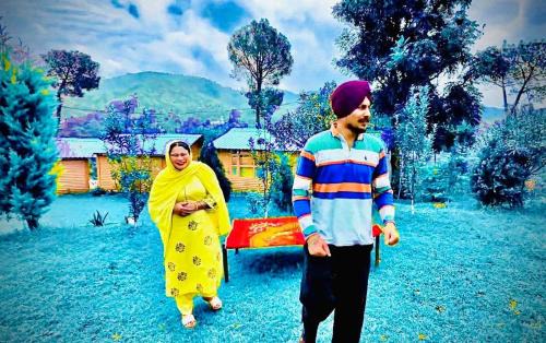 Chail Resort | Golden valley cottages, Chail