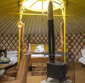Hawes House | Goldfinch